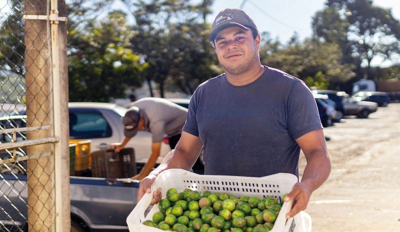 Lucas Barzagli é agricultor e doador do Banco de Alimentos há mais de dois anos | Foto: Anna Maran